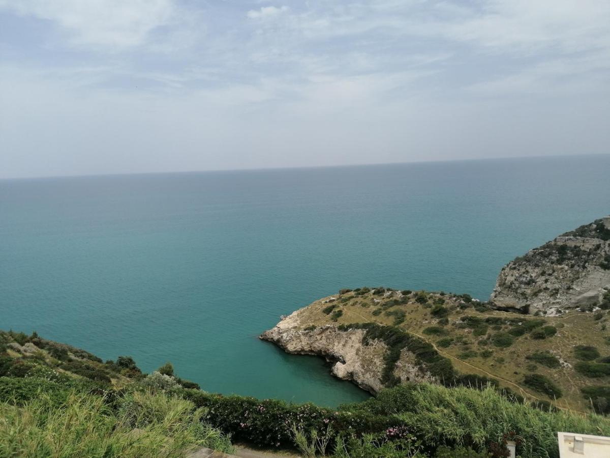 Borgonuovo Luxury Home بيسْكيتْشّي المظهر الخارجي الصورة